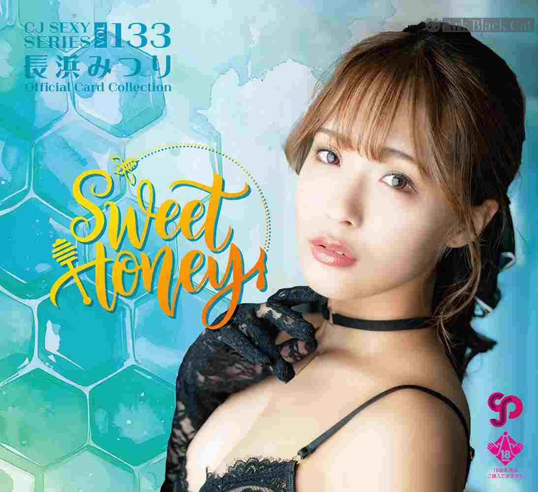 CJ SEXY CARD SERIES VOL.133 長浜みつり Japanese Box